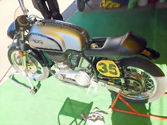 DSCN5654 DSCN5654