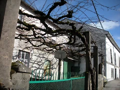 DSCN2477 DSCN2477