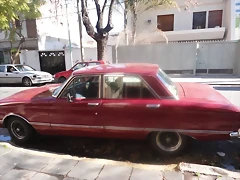 falcon falcon