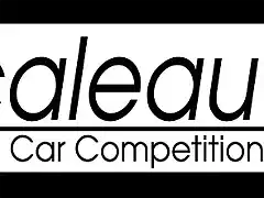 Logo Scaleauto