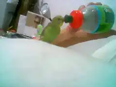 tomando agua de la botella