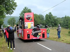 IMG_6996 IMG_6996