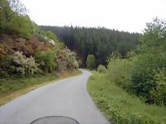 DSCN0614 DSCN0614