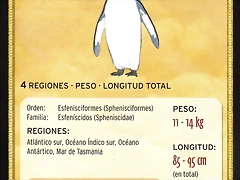 pinguino rey