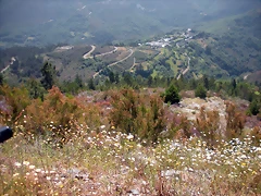 DSCN5764 DSCN5764