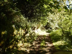 DSCN1647 DSCN1647