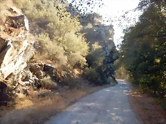 DSCN8886 DSCN8886