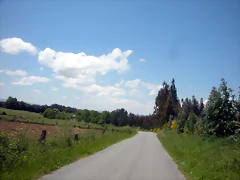DSCN5393