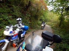 DSCN9548 DSCN9548