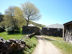 DSCN4491 DSCN4491