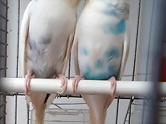 20190313_175121