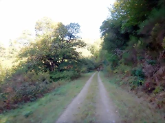 DSCN1450'1 DSCN1450'1