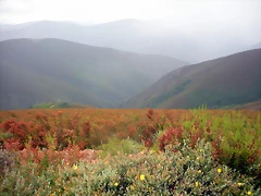 DSCN6293 DSCN6293