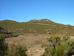 DSCN6873
