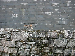 DSCN7183 DSCN7183