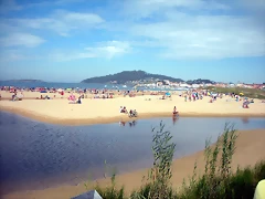 DSCN7550