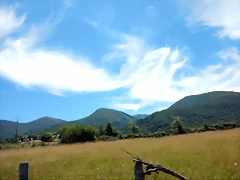 DSCN8241 DSCN8241