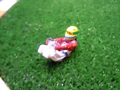 DSCN1545 DSCN1545