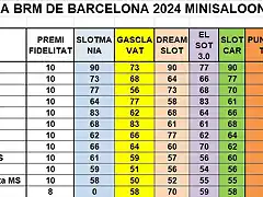 SIT CAMP MS DESPRES SLOTCAR DEL 1 AL 12