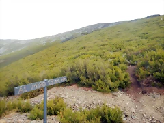 DSCN8694 DSCN8694
