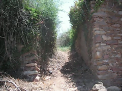PICT0098