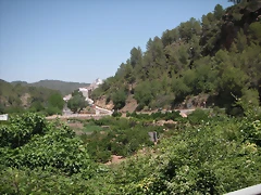 PICT0102