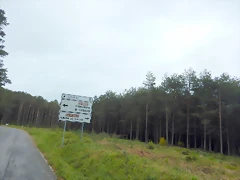 DSCN0549 DSCN0549