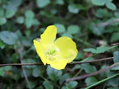 IMG_7547 IMG_7547