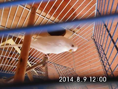 CIMG0535 CIMG0535