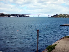 DSCN0259 DSCN0259