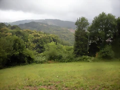 DSCN4731 DSCN4731