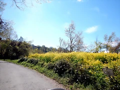 DSCN3968