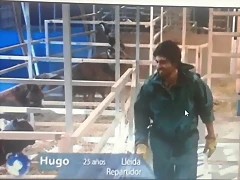 Arca No? 4