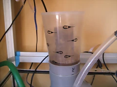 DSCF1382 DSCF1382