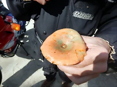 DSCN0569 DSCN0569