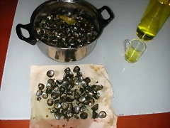DSCN2715 DSCN2715