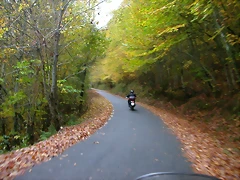 DSCN5956 DSCN5956
