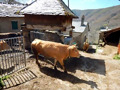 DSCN9084 DSCN9084