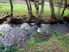 DSCN0564 DSCN0564