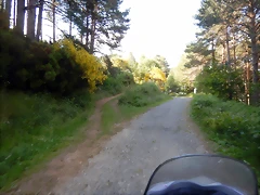 DSCN9234 DSCN9234
