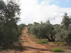 03, el torren1, marca