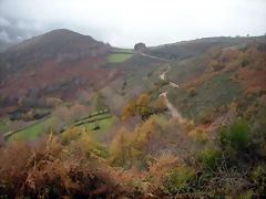 DSCN0929 DSCN0929