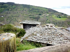 DSCN4273 DSCN4273