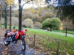 DSCN1788 DSCN1788