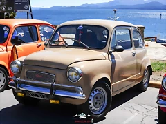 CAS_3977 CAS_3977
