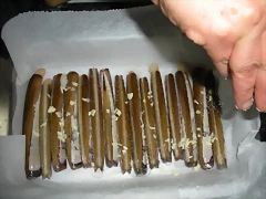DSCN4475 DSCN4475