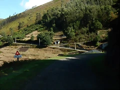 DSCN0221 DSCN0221
