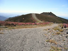 DSCF2565 DSCF2565