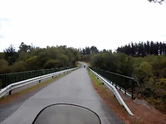 DSCN7342 DSCN7342