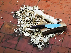 DSCF1245 DSCF1245